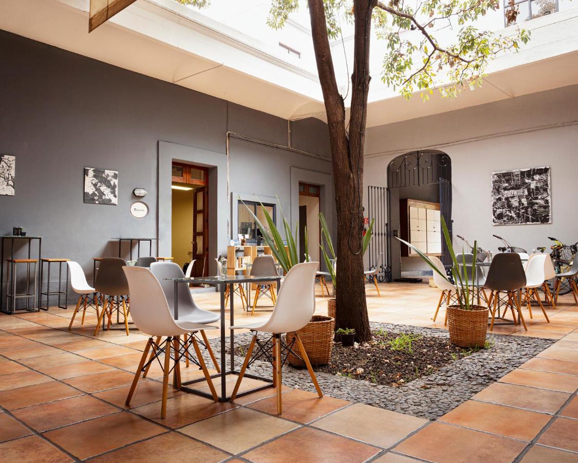 Bkl Hotel Oaxaca Exterior photo