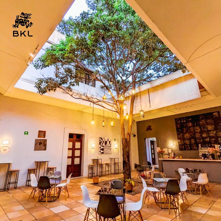 Bkl Hotel Oaxaca Exterior photo
